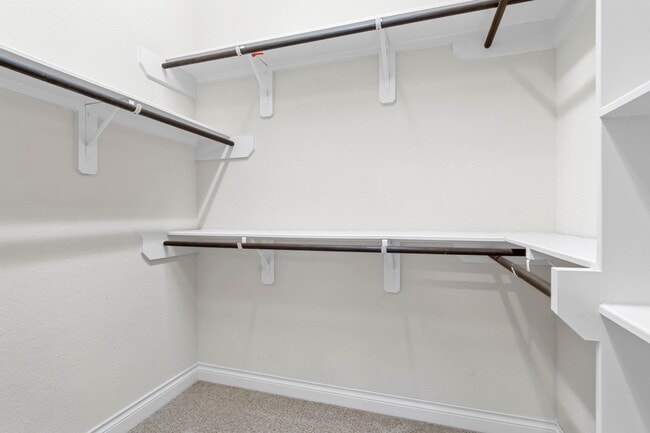 Building Photo - 3388 Ashton Springs Ln