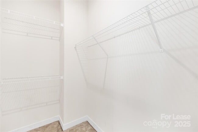 Building Photo - 1240 Newell Towns Ln
