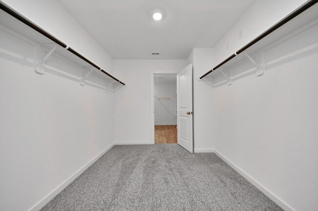 Building Photo - 3538 Shearwater St