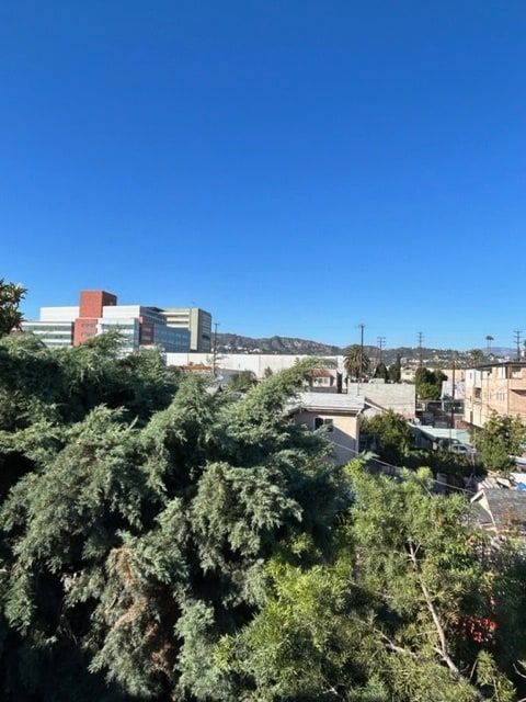 View from Apartment - 1242 N Westmoreland Ave