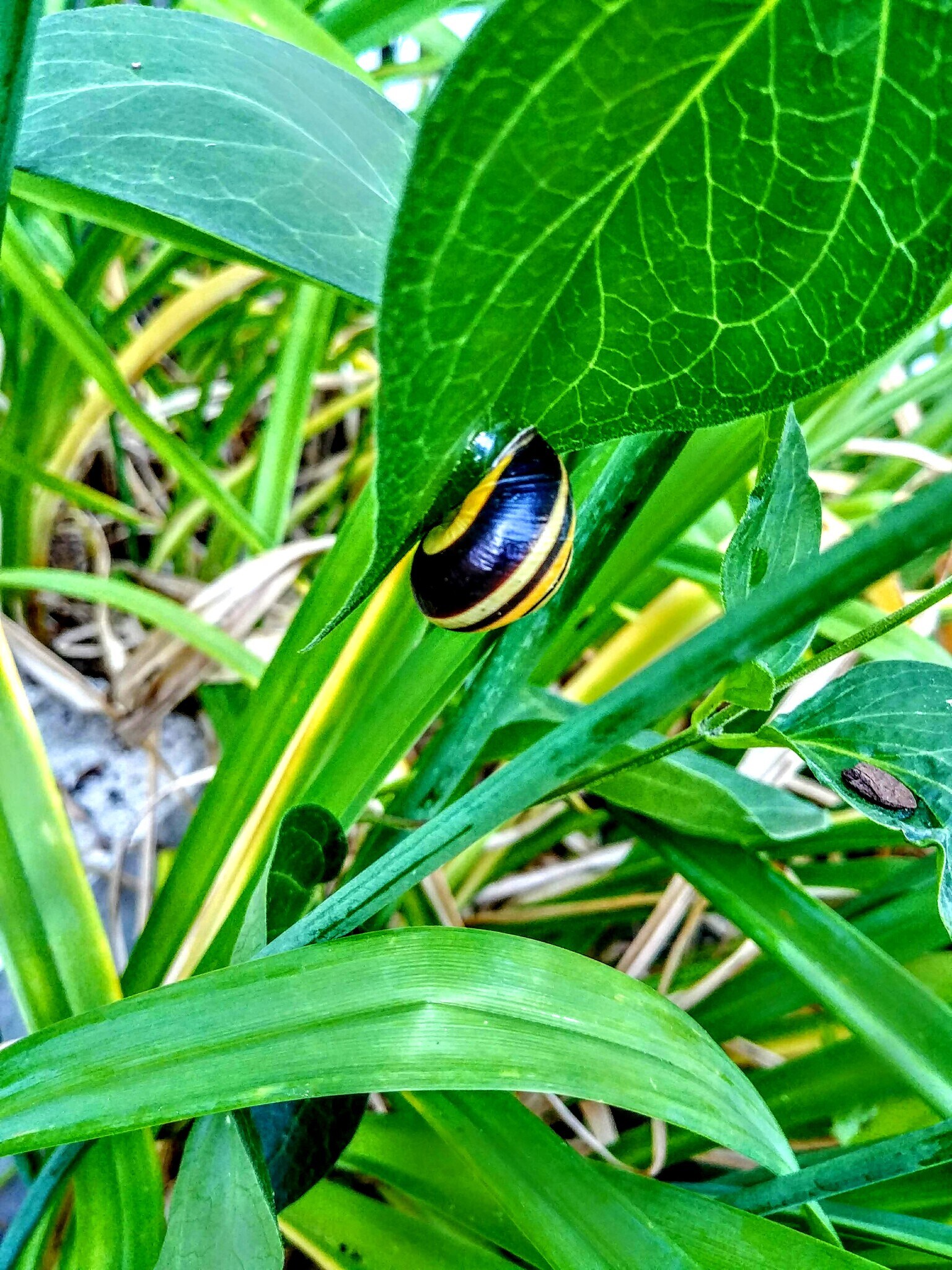 Building Photo - 21 Saint Peter St