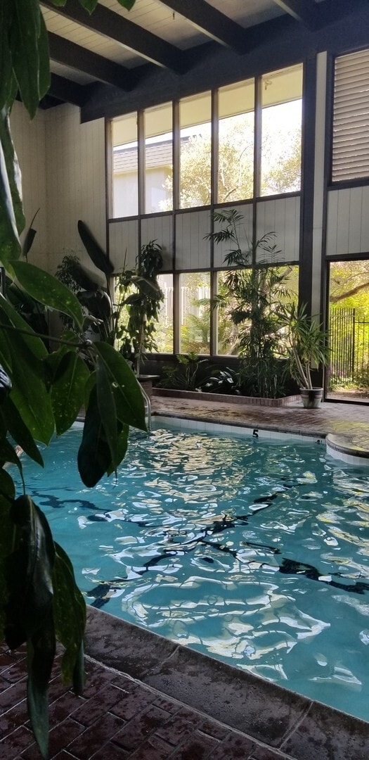 Building Photo - Cozy Studio Condo Available Now at Shelter Creek!