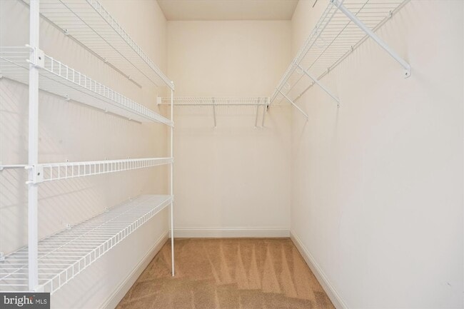 Building Photo - 448 Salk Cir