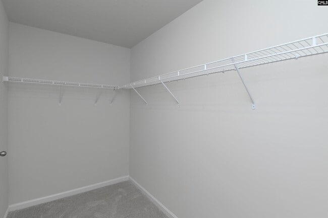 Building Photo - 3041 Blue Brook Ln