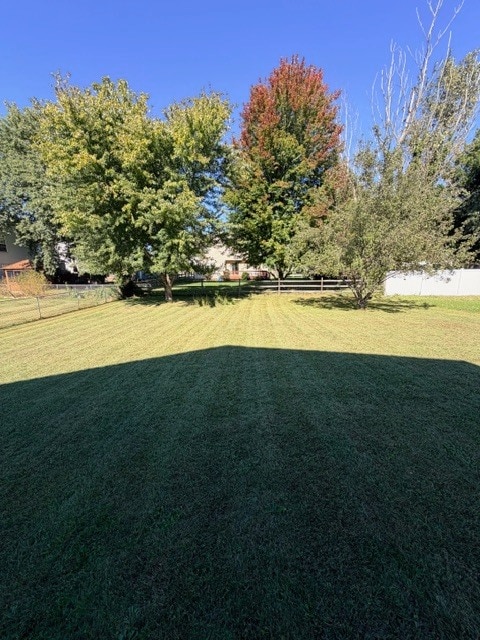 Building Photo - 505 Stafford Ave