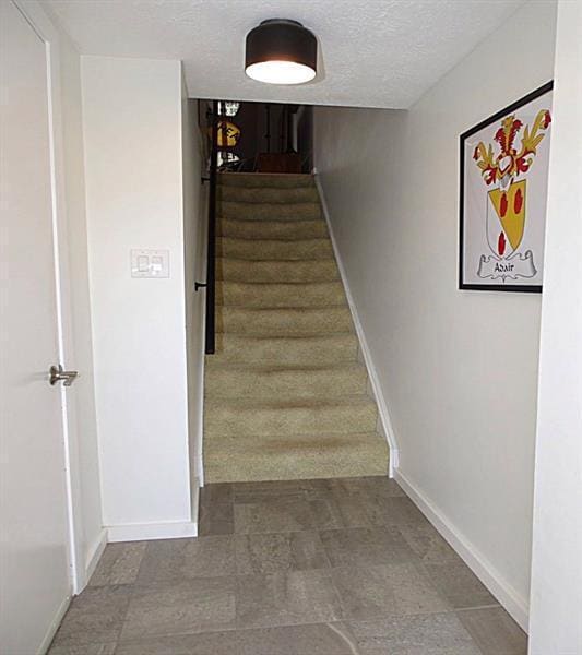 Front Entrance - 563 Winesap Dr