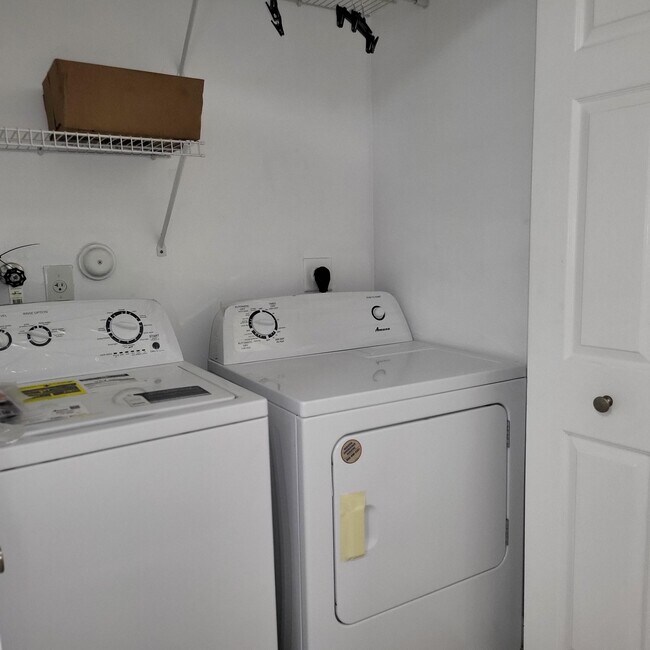 Building Photo - 509 Alejandro Ln