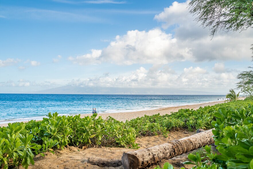 Building Photo - 50 Puu Anoano St