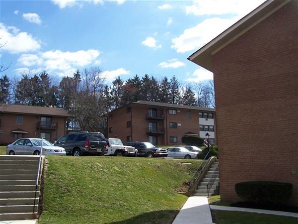 Building Photo - 1016 W Baltimore Pike