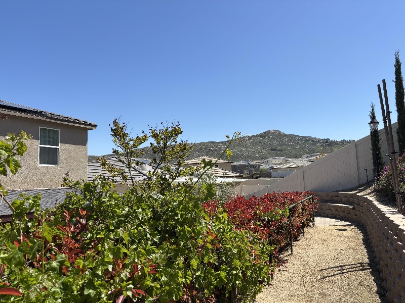 Building Photo - 20973 Bison Mesa Rd