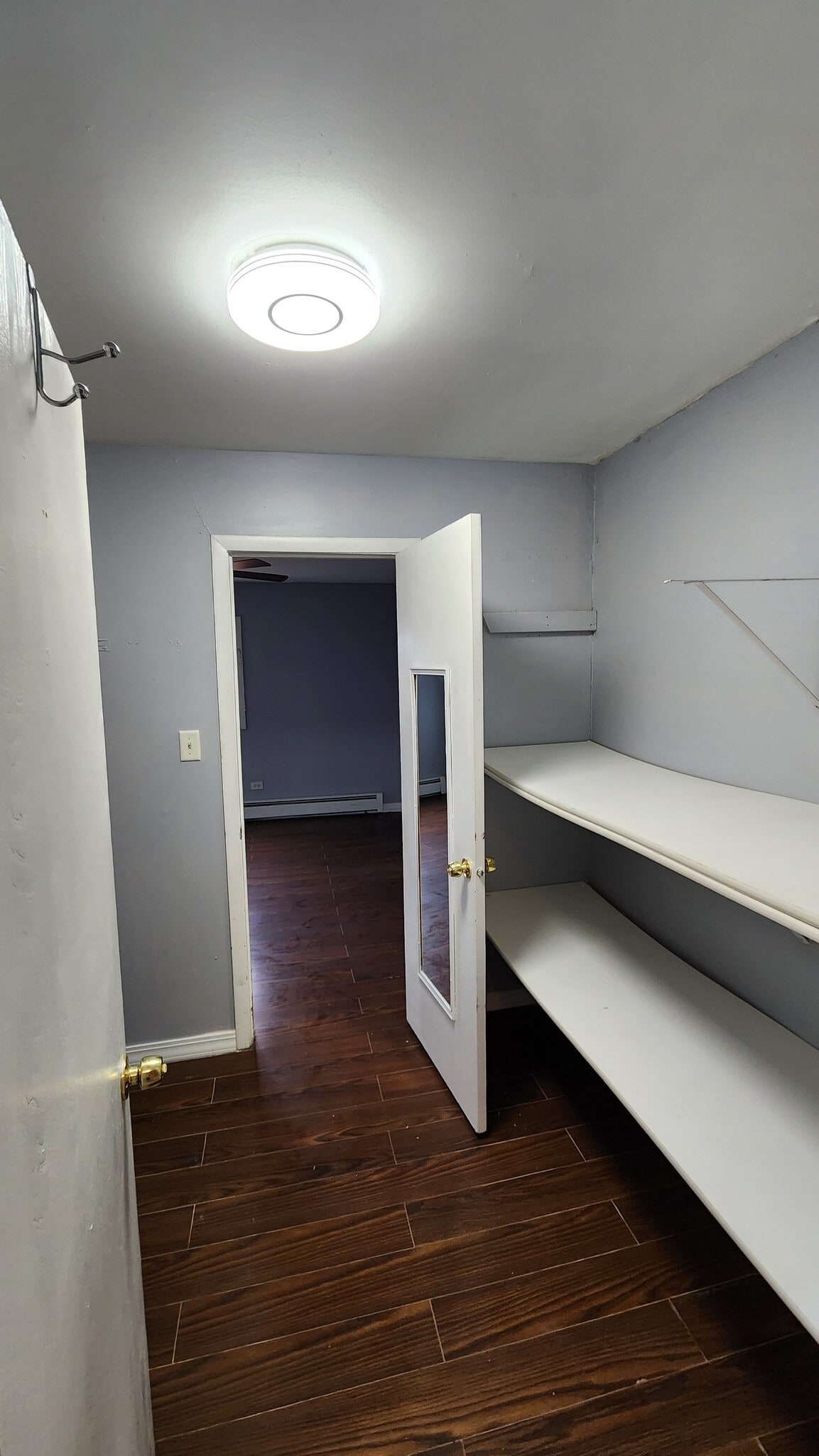 Walk in Closet - 121 W Elk Trl