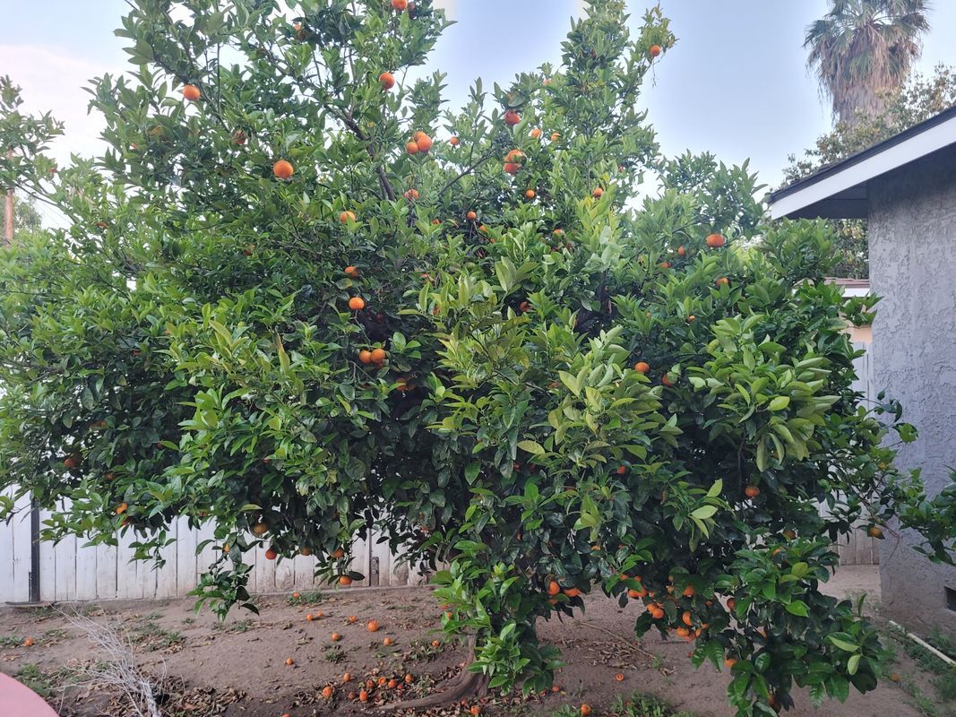 Building Photo - 10854 Marklein Ave