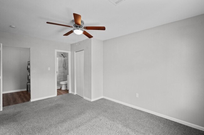 Building Photo - Beautiful 4 Bedroom, 2 Bath Home in Texas ...