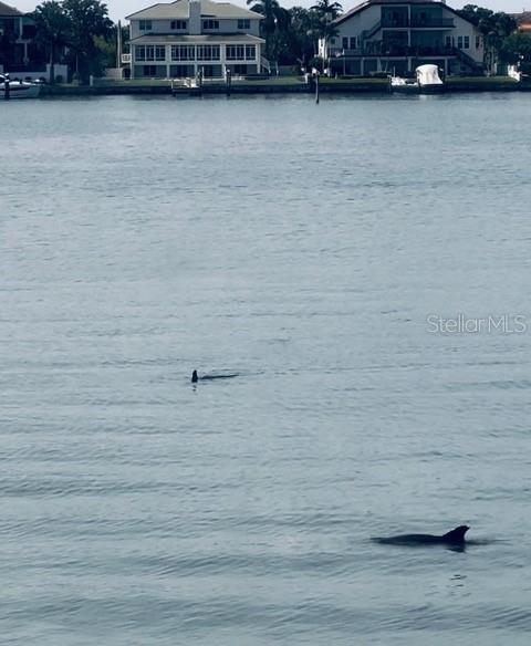 Building Photo - 5200 Brittany Dr S