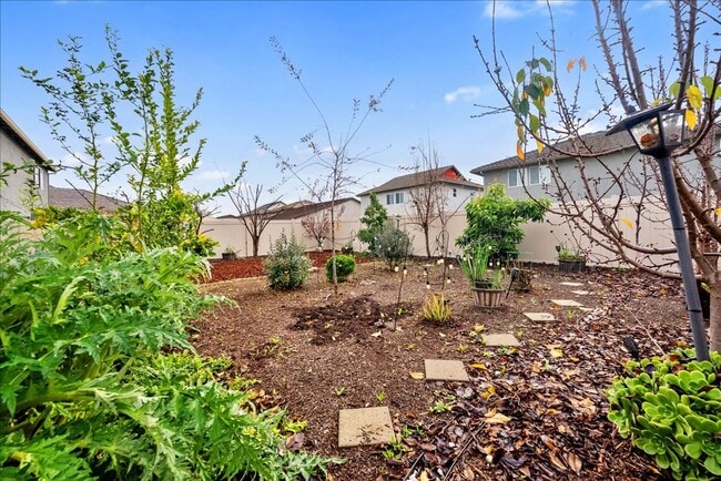 Building Photo - 3818 Fong Ranch Rd