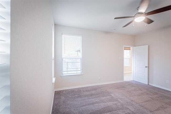 Building Photo - 310 Indian Wheat