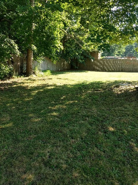 Backyard - 314 Lake Crystalbrook Dr
