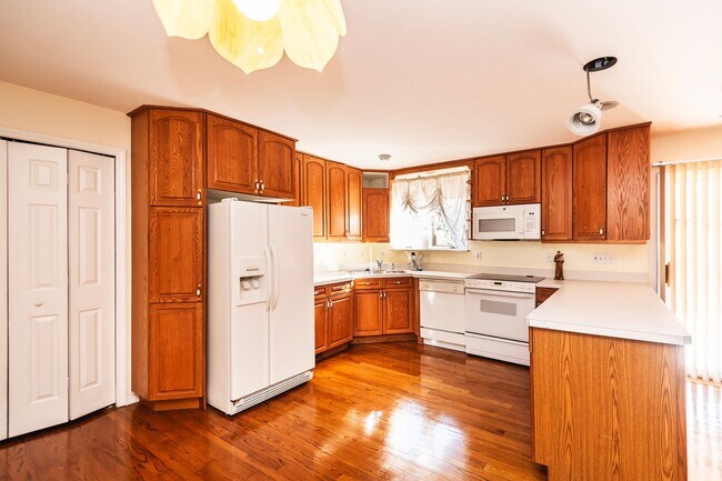 Building Photo - Beautiful 4 Bedroom 3 Bathroom South County Home