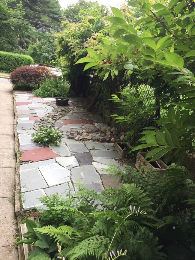 Side Entrance - 97 Bow St