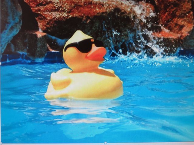 Building Photo - 8911 Valley River Dr