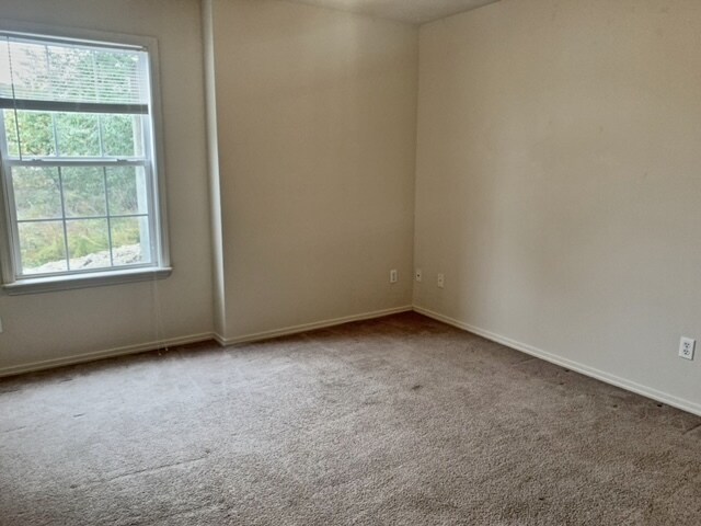 Building Photo - 144 Bald Eagle Blvd