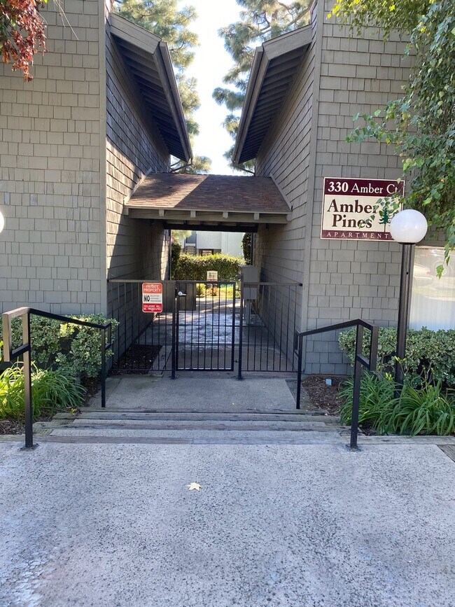 Building Photo - Amber Pines