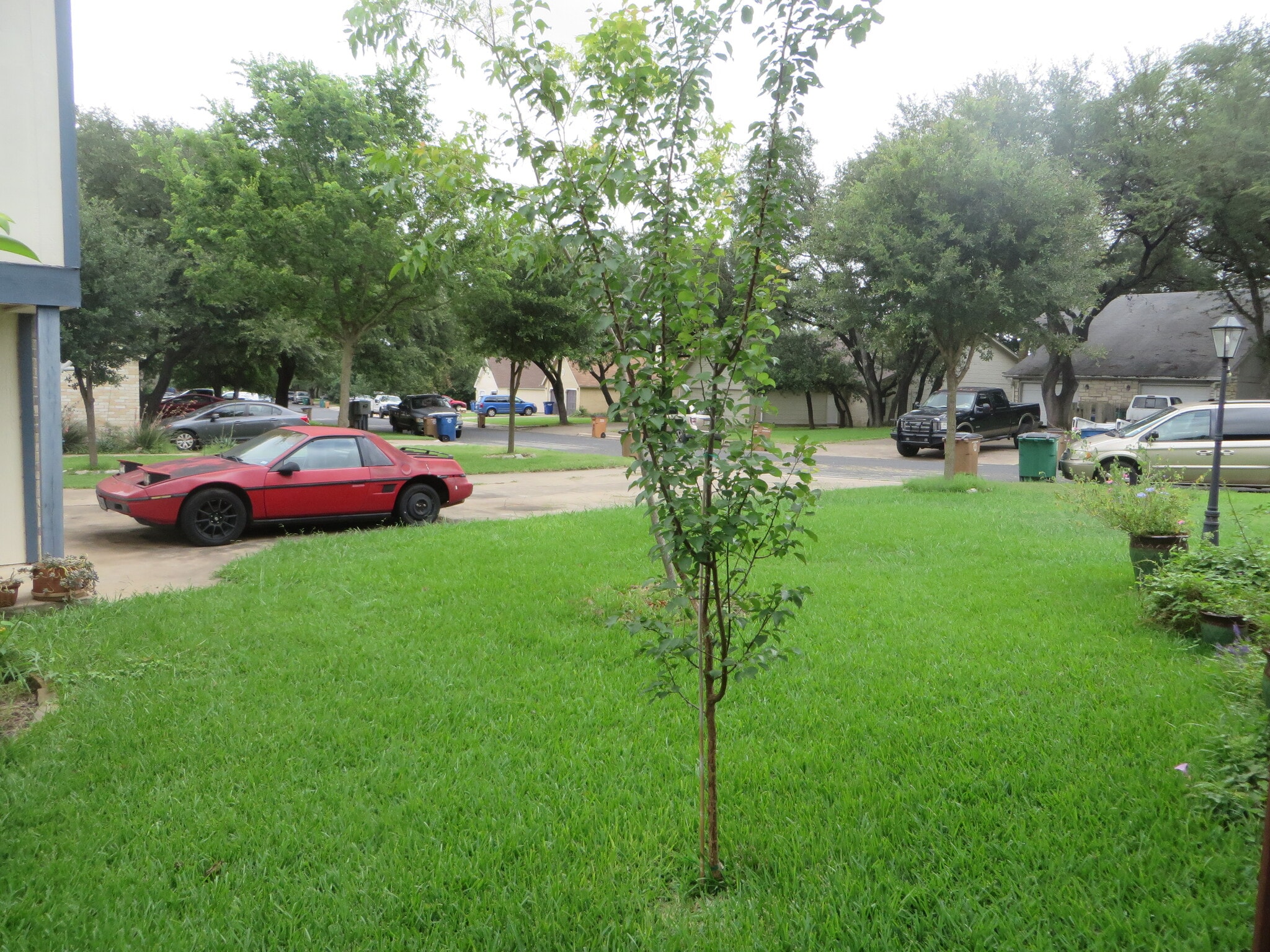 Building Photo - 8814 Clearbrook Trail