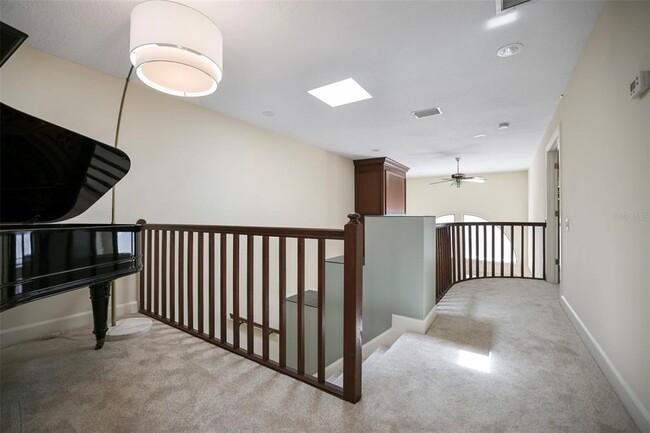 Building Photo - 4941 Bayshore Blvd