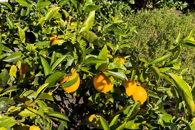 Building Photo - 25 Sunset Dr