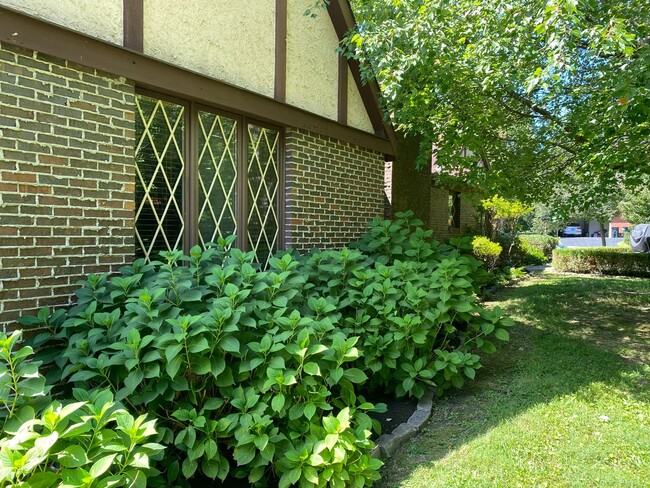 Building Photo - Heather Hills Retreat