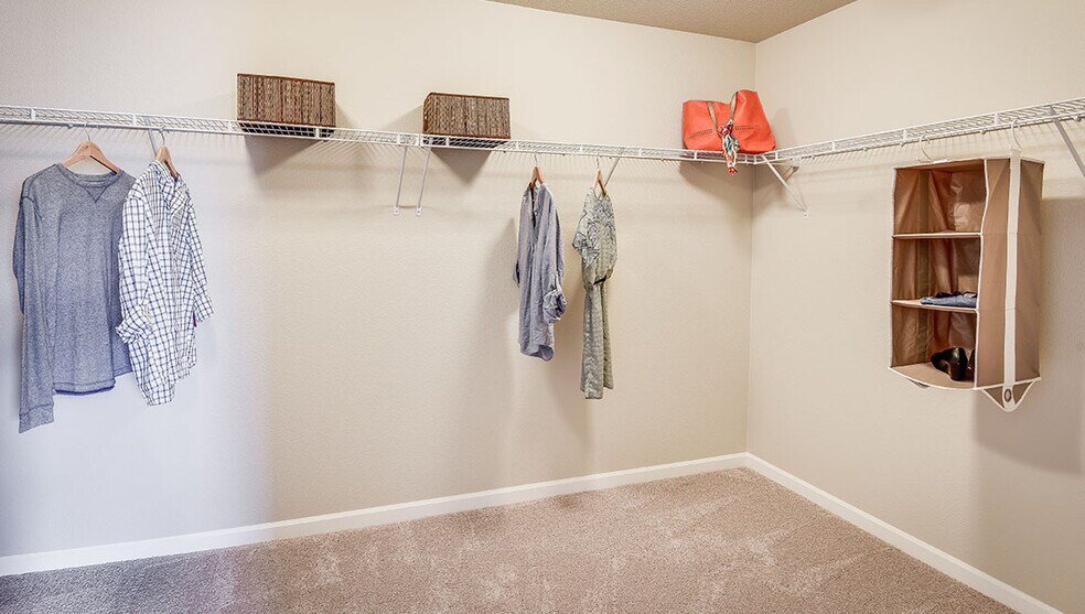 Master walk-in closet - 17017 NW Antonio St