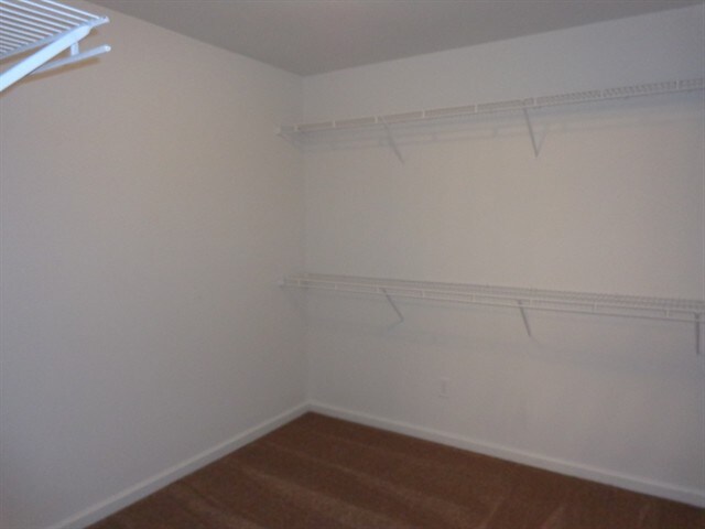 Building Photo - 433 Holland Springs Dr