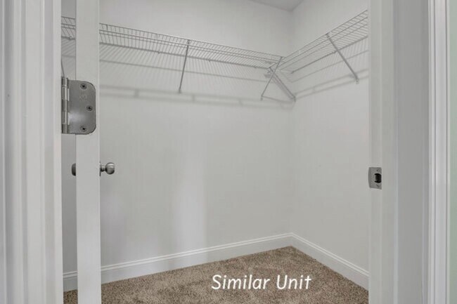 Building Photo - 303 Starfish Ln