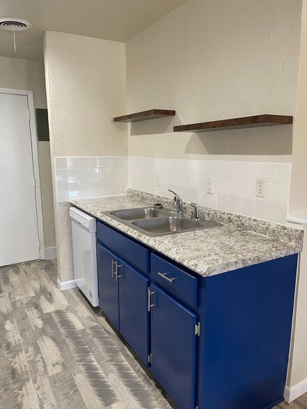 Sink and dishwasher - 819 E Lindsey St