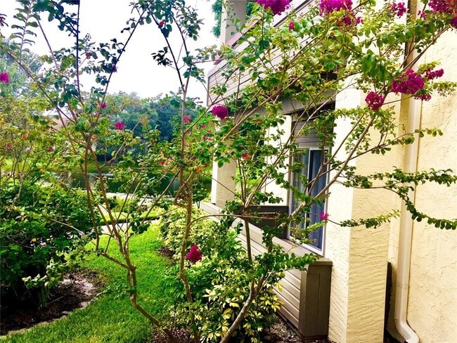 Building Photo - 10263 Gandy Blvd N