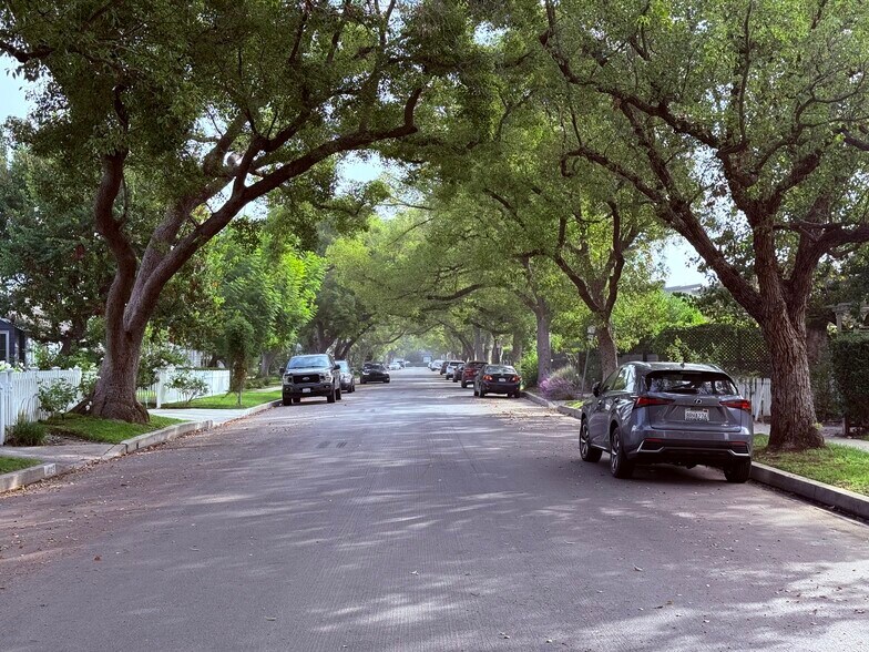 Gorgeous tree lined street on Peach Grove - 14024 Peach Grove St