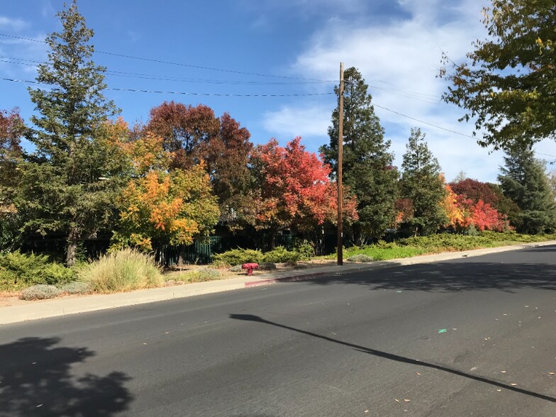 Building Photo - 1054 Dolores St