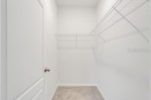 Building Photo - 2398 Greenwood Oak Dr