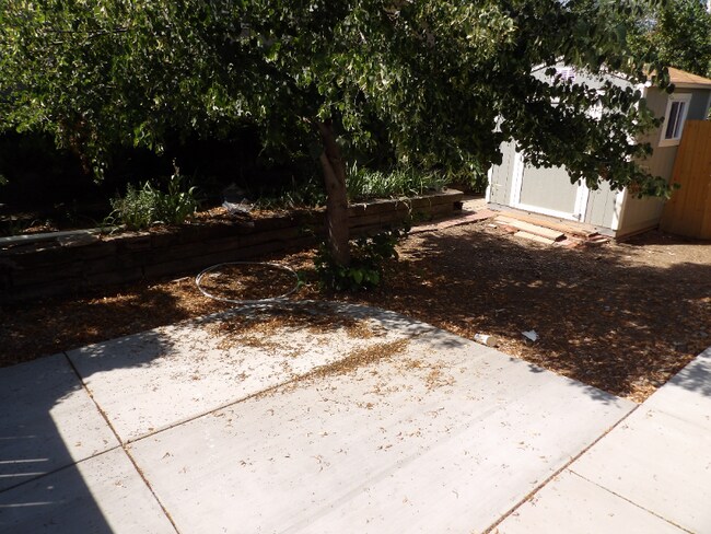 Building Photo - 24 El Sereno Dr