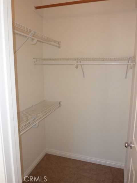 Building Photo - 141 Trofello Ln