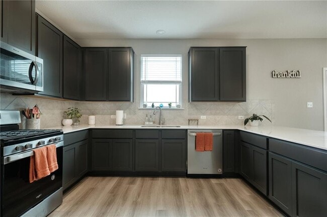 Building Photo - 209 Asher Blue Dr
