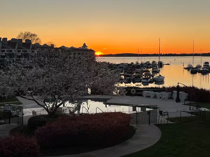 Building Photo - 18857 Vineyard Point Ln