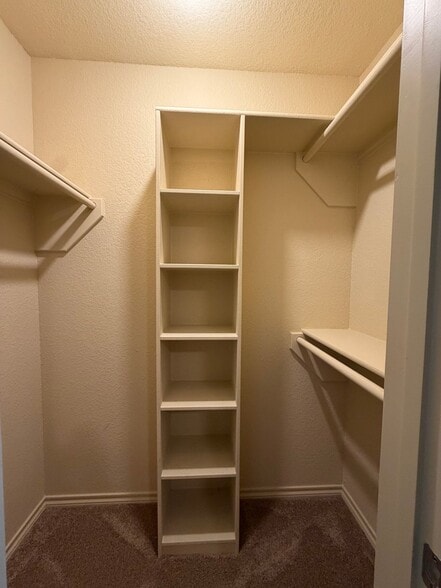 Building Photo - 5801 Swords Dr