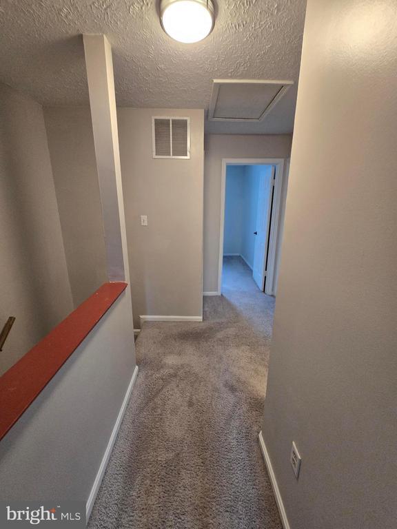 Building Photo - 6113 Tapir Pl