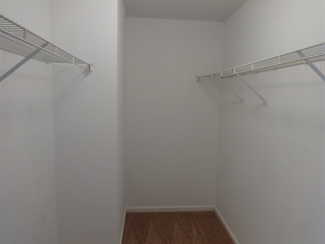 Building Photo - 3 Mallorys Ct