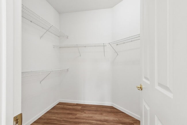 Building Photo - Single-Story 3-Bedroom with 3-Car Garage in Mace Ranch