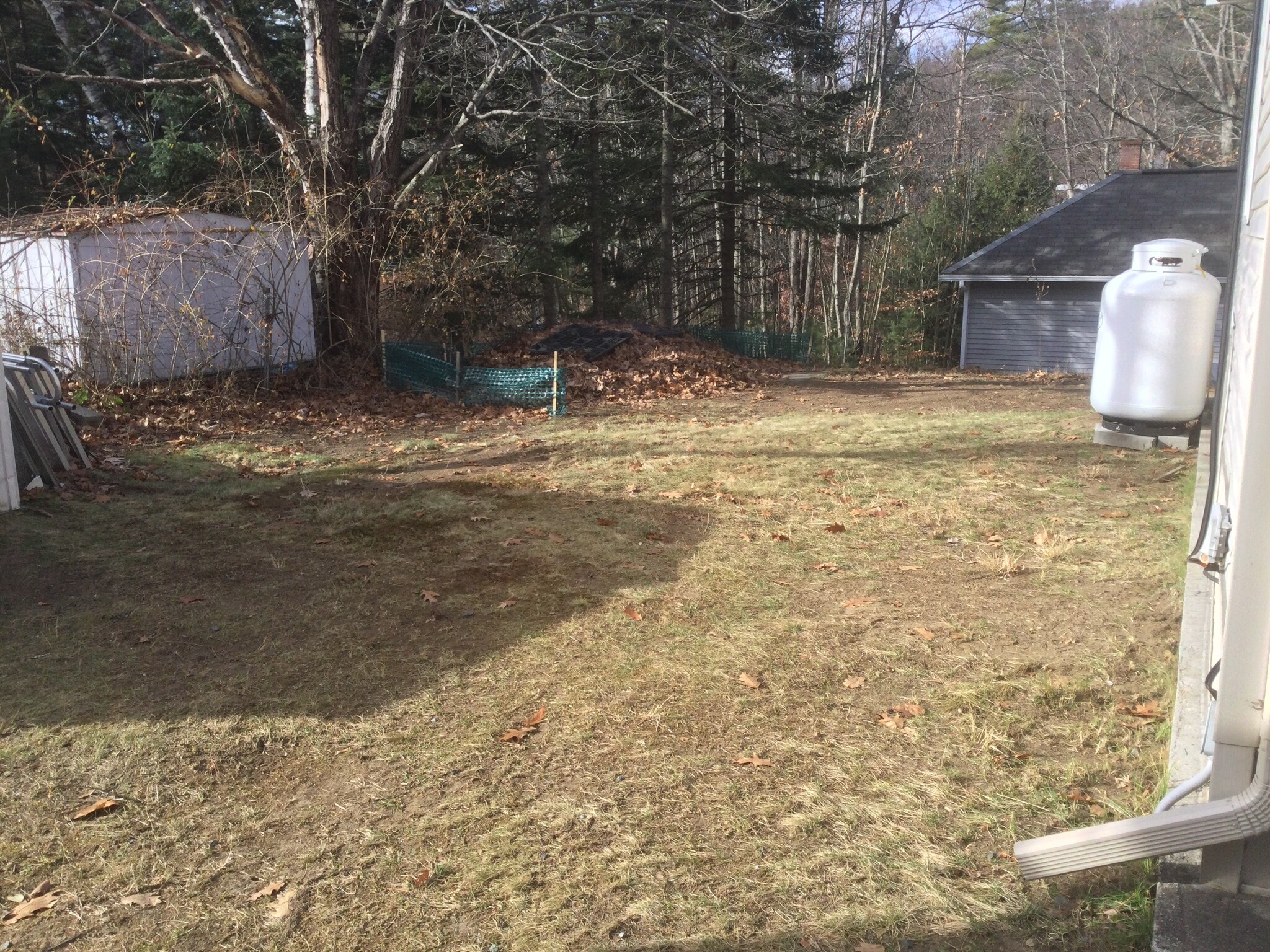 Side Yard left - 45 Abbott St