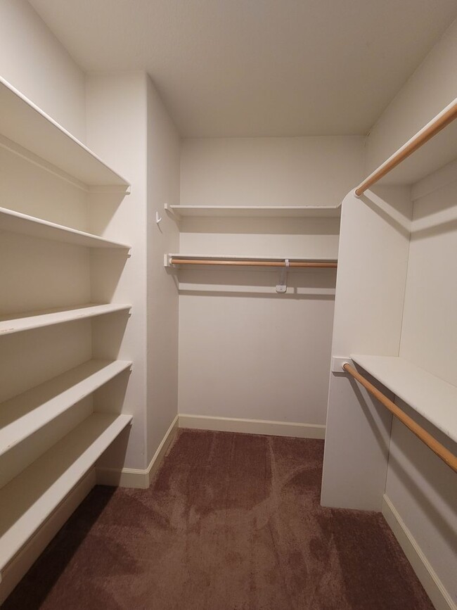 Building Photo - Contemporary Condo in Johns Landing