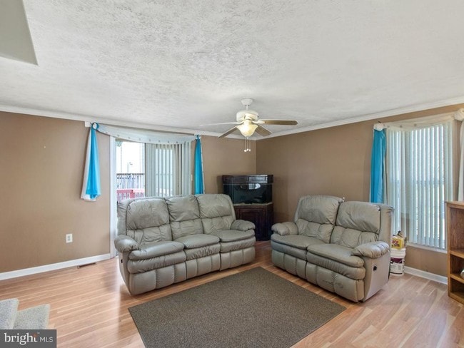 Building Photo - 18 Ivy Oak Ct