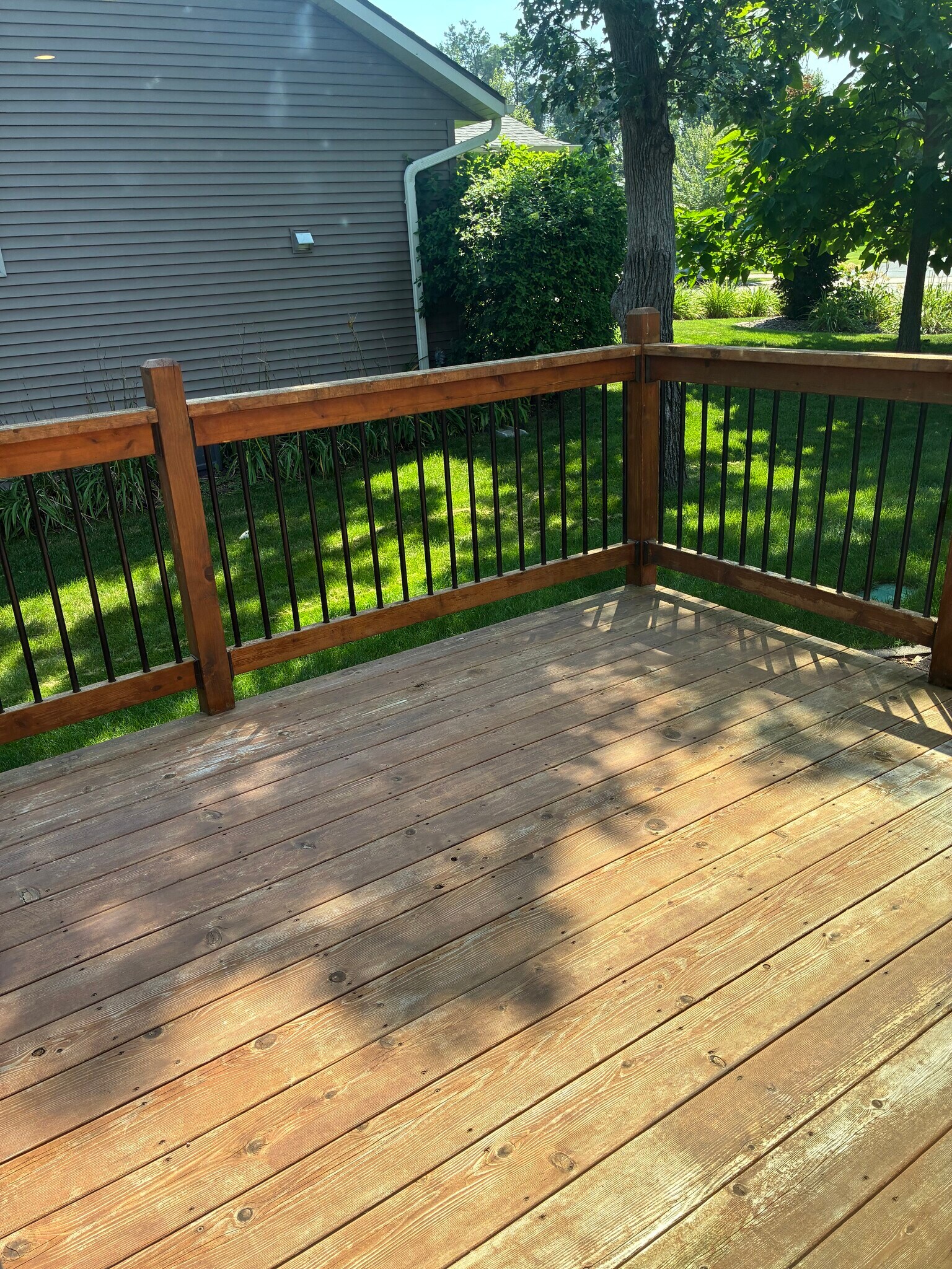 Building Photo - 2850 Swallowtail Ct